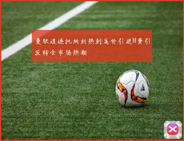 曼联追逐托纳利热刺高价引进M费引发转会市场热潮
